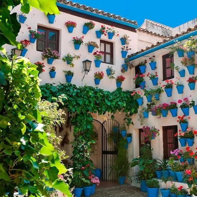 Apartamento Cordvba Osario Centro Córdoba Exterior foto